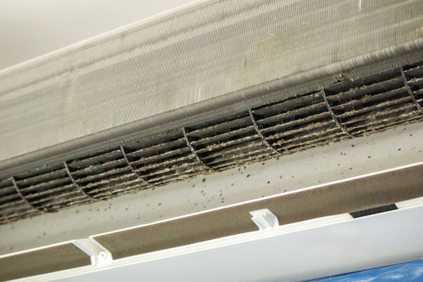 Best Ductwork Cleaning Services  in Chapel Hill, NC