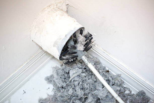 Best Local Air Duct Cleaning Services  in Chapel Hill, NC